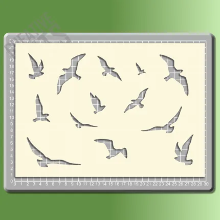 Birds